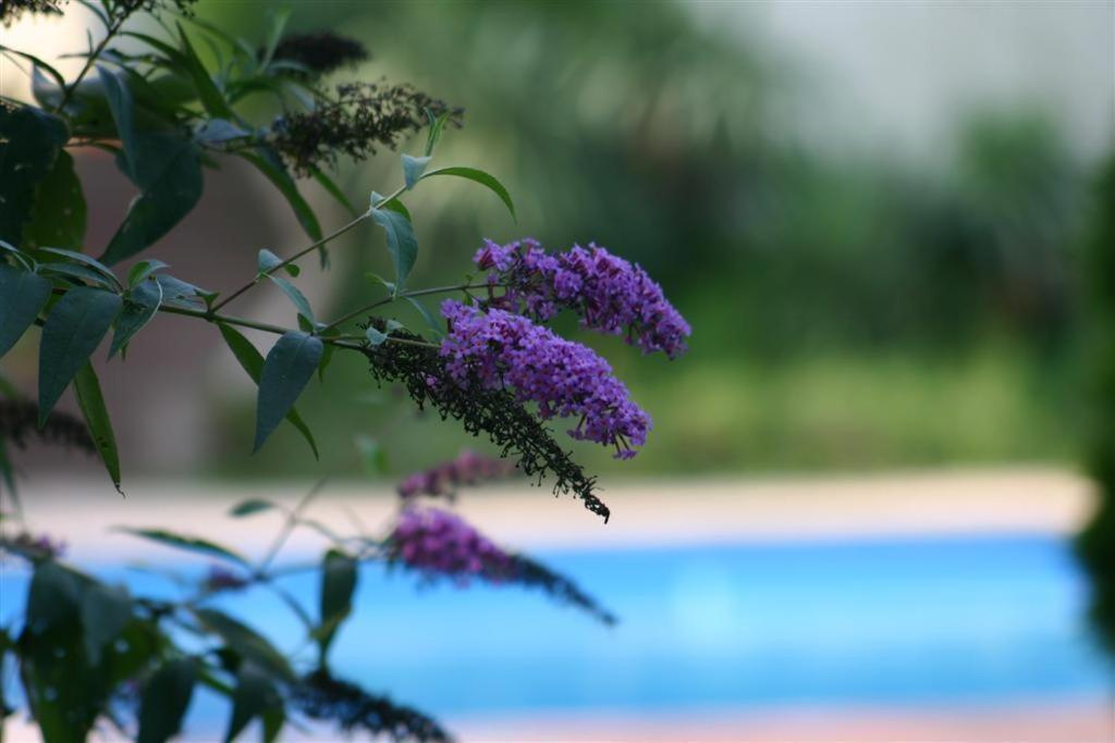 Hindisheim Bois Joli De La Freyere B&B 외부 사진