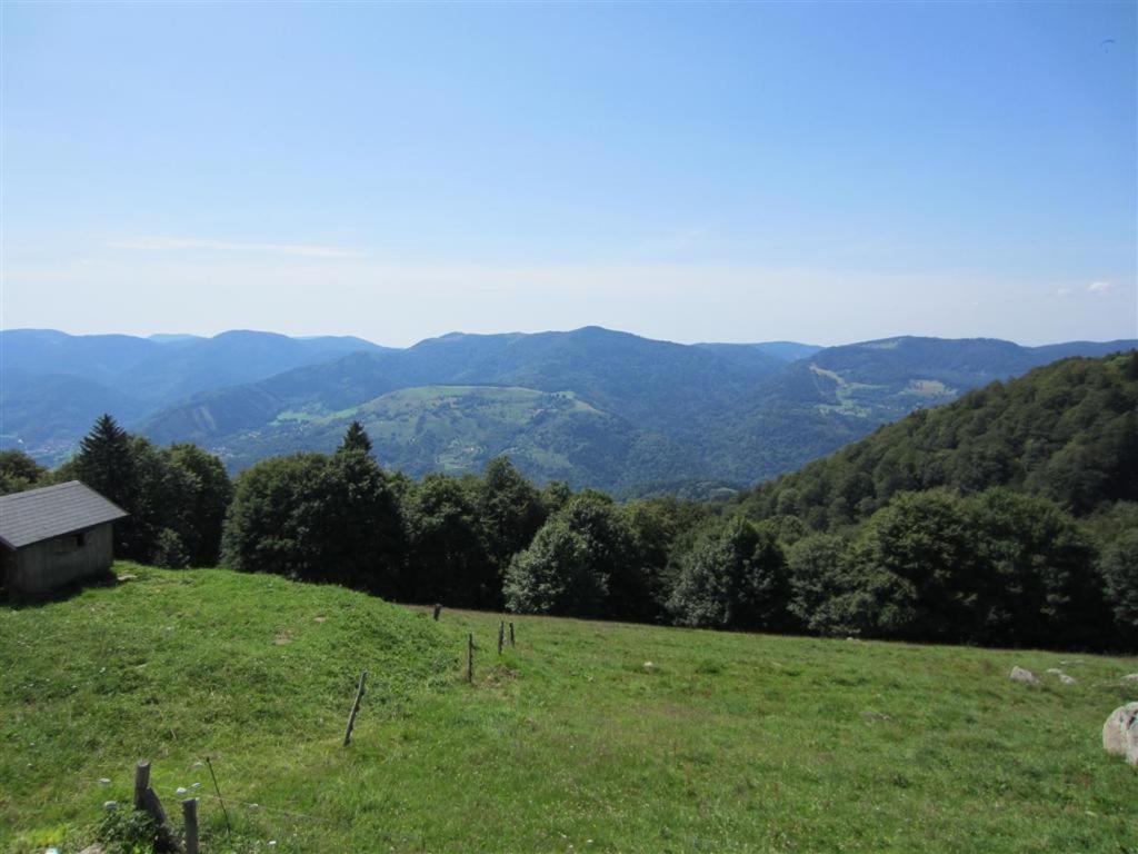 Hindisheim Bois Joli De La Freyere B&B 외부 사진